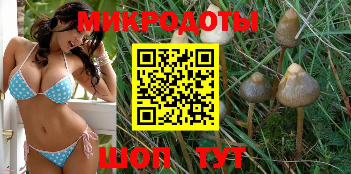 Асбест  Псилоцибиновые грибы Psilocybe  Вход с VPN 