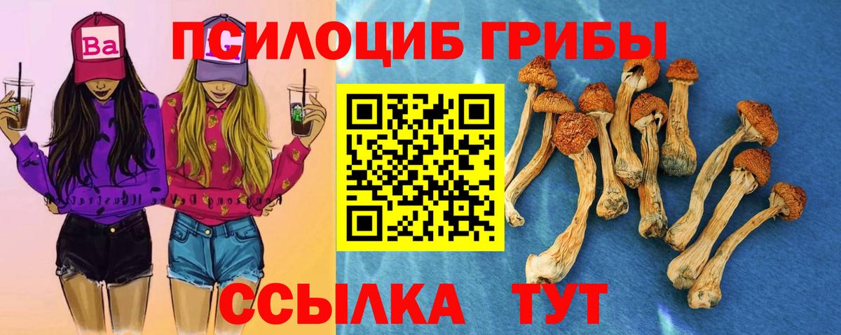 Псилоцибиновые грибы мицелий Асбест